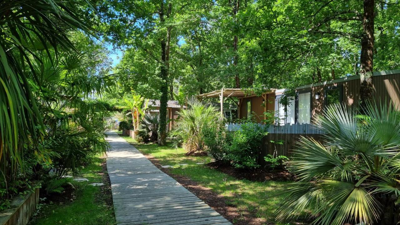 Camping Aux Couleurs Du Ferret Lège-Cap-Ferret المظهر الخارجي الصورة