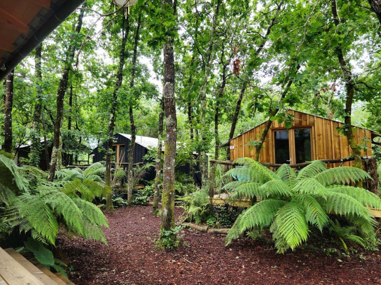 Camping Aux Couleurs Du Ferret Lège-Cap-Ferret المظهر الخارجي الصورة