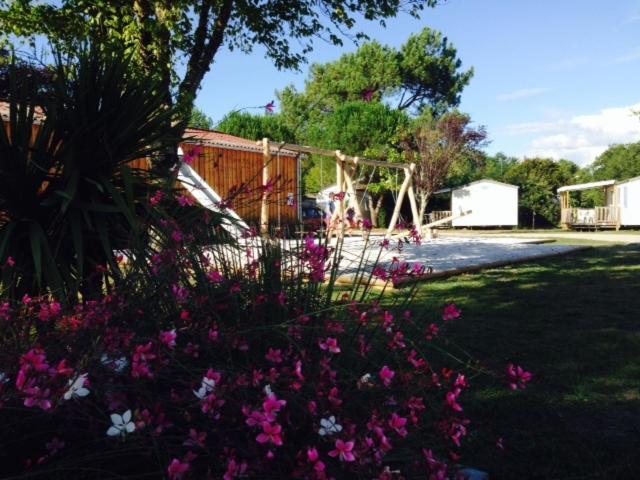 Camping Aux Couleurs Du Ferret Lège-Cap-Ferret المظهر الخارجي الصورة